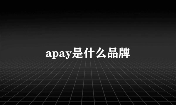 apay是什么品牌
