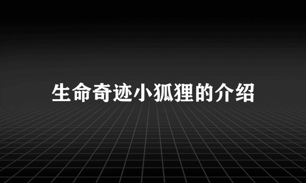生命奇迹小狐狸的介绍