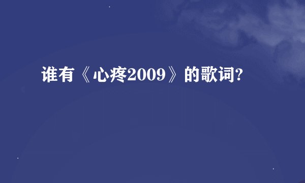 谁有《心疼2009》的歌词?