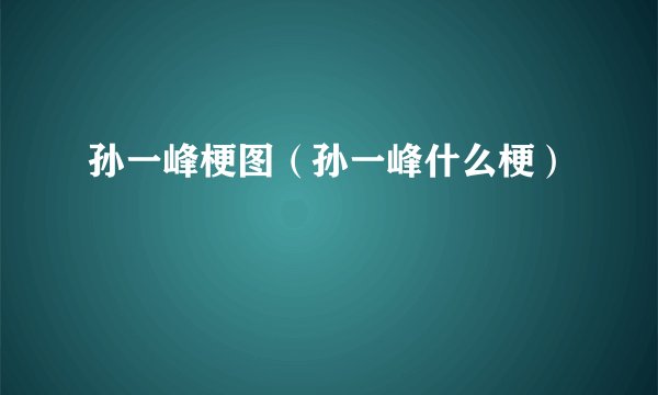 孙一峰梗图（孙一峰什么梗）