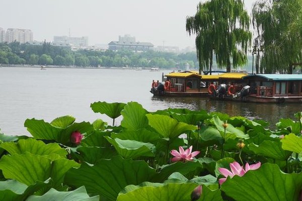 四面荷花三面柳下一句是什么