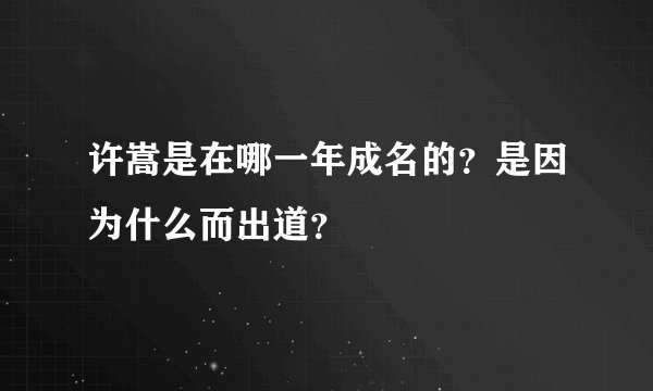 许嵩是在哪一年成名的？是因为什么而出道？