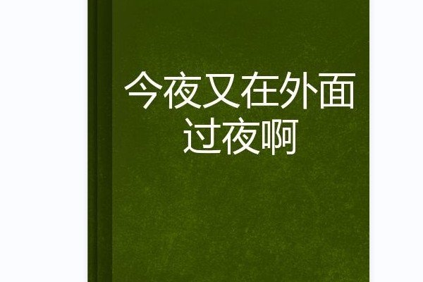 过夜是什么意思