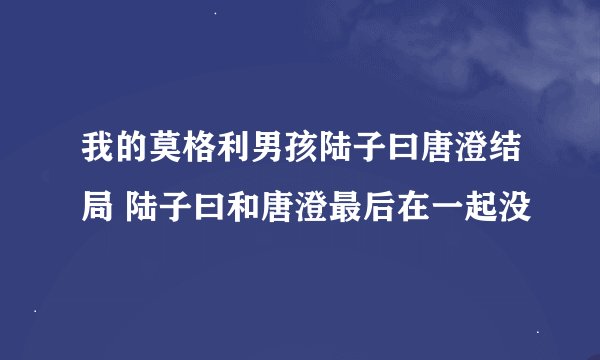 我的莫格利男孩陆子曰唐澄结局 陆子曰和唐澄最后在一起没
