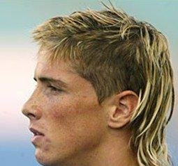 托雷斯留的长发什么名字