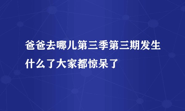 爸爸去哪儿第三季第三期发生什么了大家都惊呆了