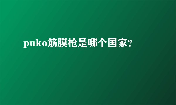 puko筋膜枪是哪个国家？