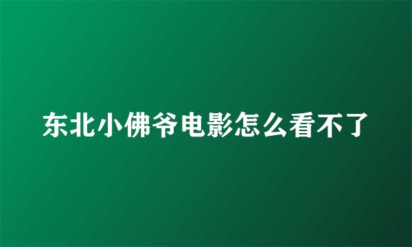 东北小佛爷电影怎么看不了
