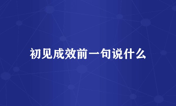 初见成效前一句说什么