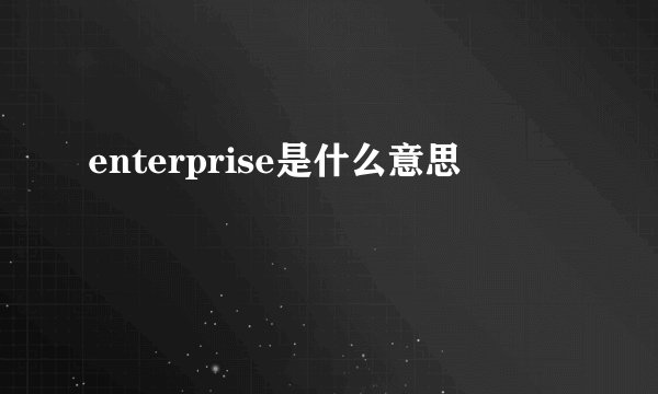 enterprise是什么意思