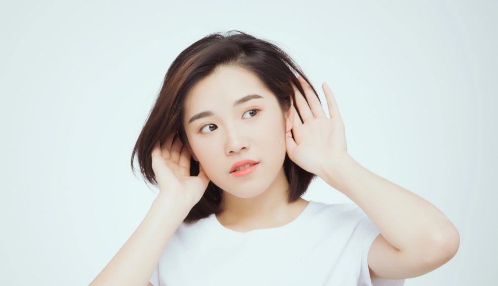 陶典是哪个工作室的？