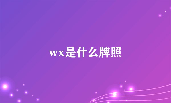 wx是什么牌照