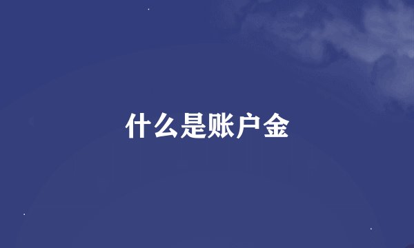 什么是账户金
