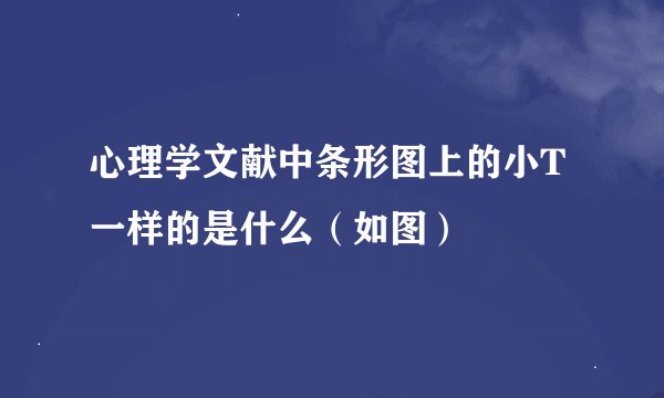 心理学文献中条形图上的小T一样的是什么（如图）