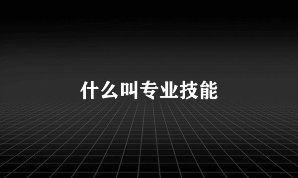 什么叫专业技能