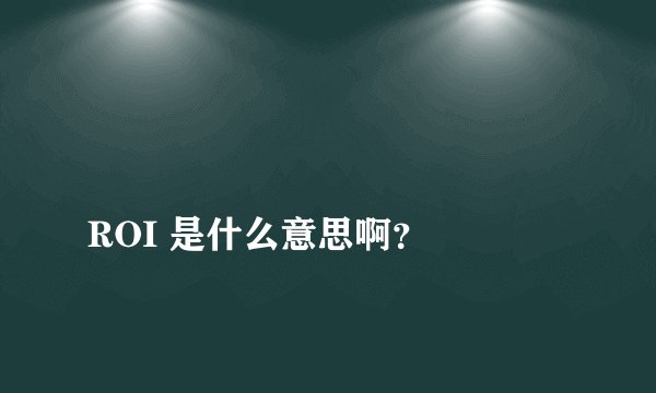 
ROI 是什么意思啊？

