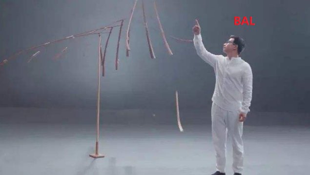 有谁知道BAL是什么意思