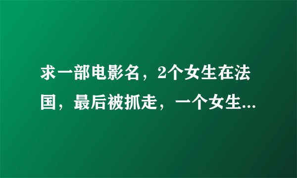求一部电影名，2个女生在法国，最后被抓走，一个女生的老爸是像是一个打手，去法国救她，有一些装备