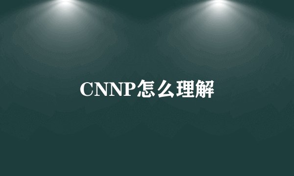 CNNP怎么理解