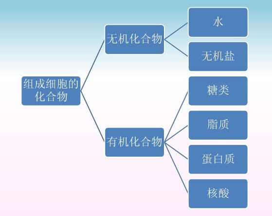 有机和无机的区别是什么？