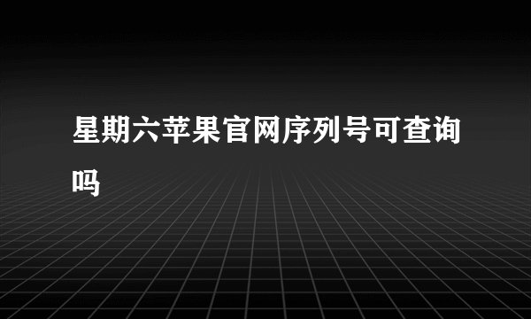 星期六苹果官网序列号可查询吗