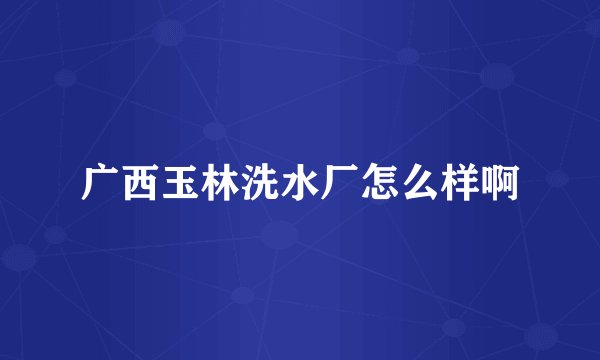 广西玉林洗水厂怎么样啊