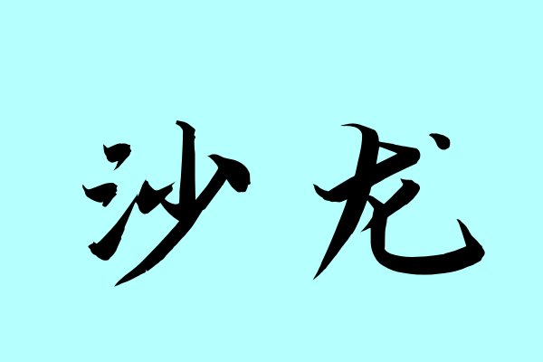 沙龙什么意思