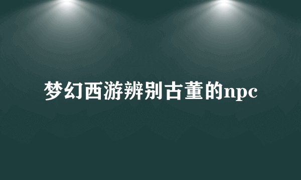 梦幻西游辨别古董的npc