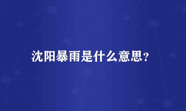 沈阳暴雨是什么意思？