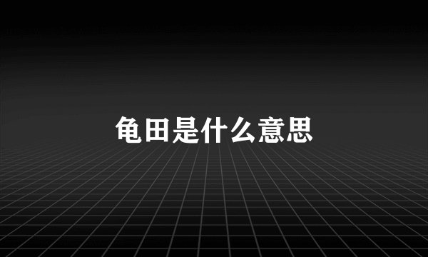龟田是什么意思