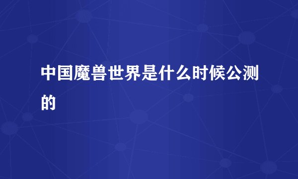 中国魔兽世界是什么时候公测的