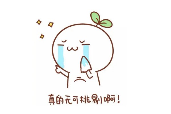 无可挑剔的意思