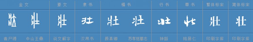 壮字是什么偏旁