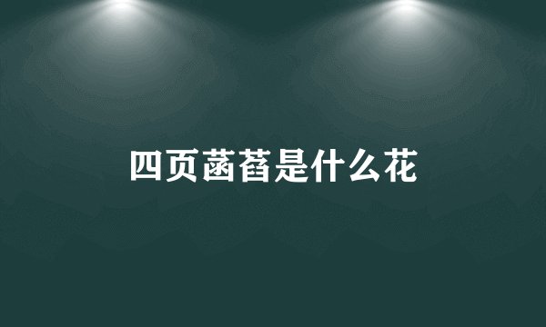 四页菡萏是什么花