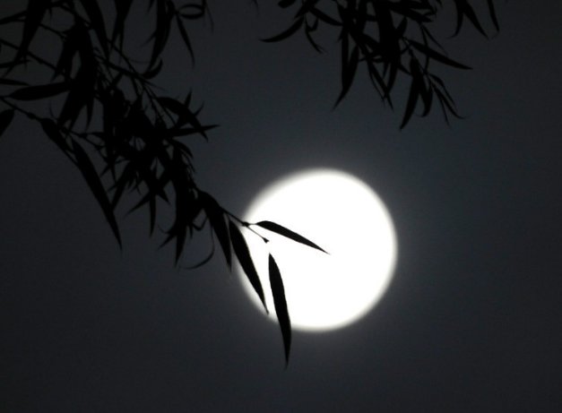 秋月无边什么意思？