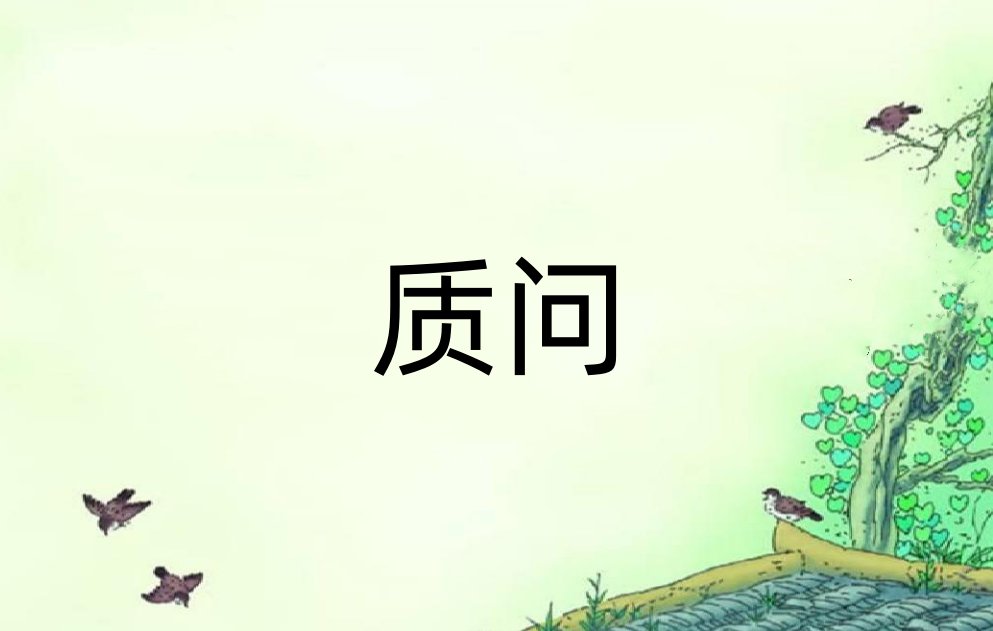 质问是什么意思？