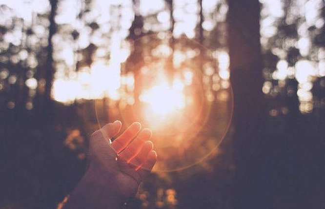 sunshine的中文意思