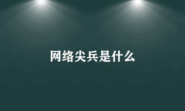网络尖兵是什么