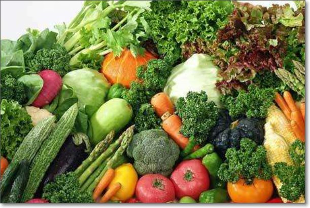 单子叶植物有哪些?