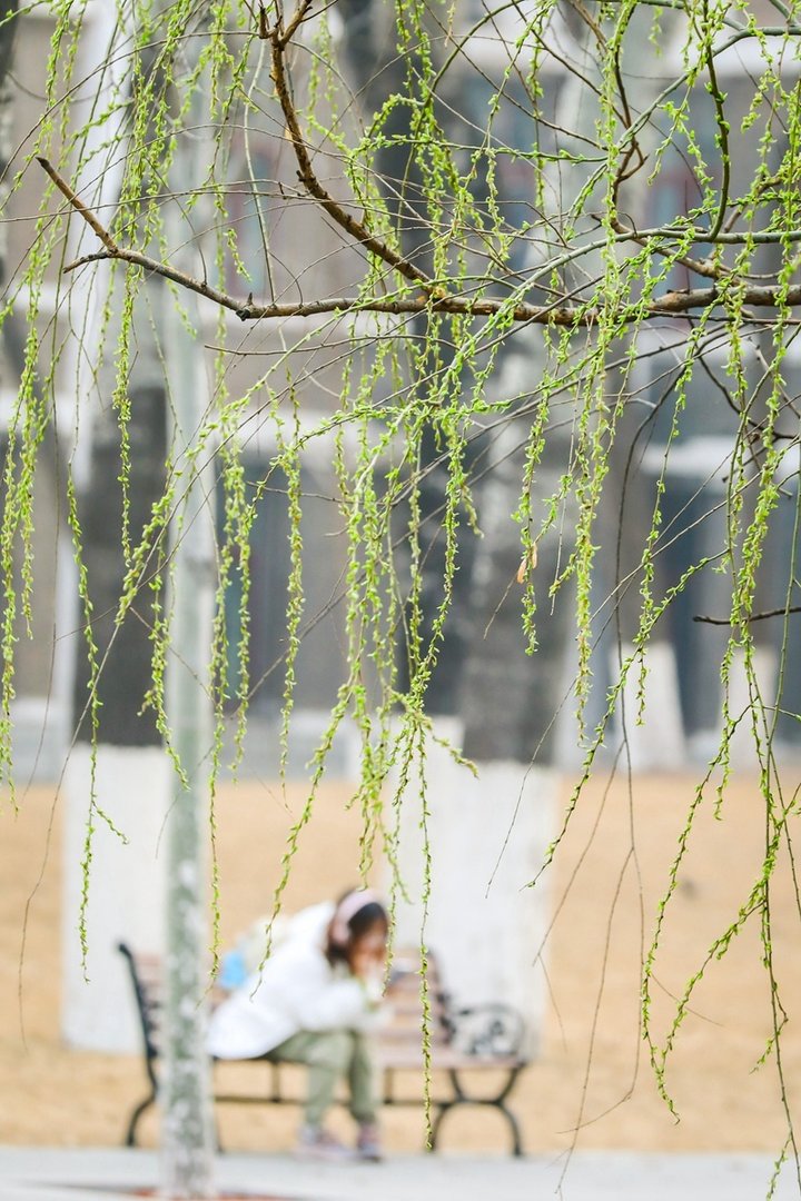 老师你怎么会在这里?