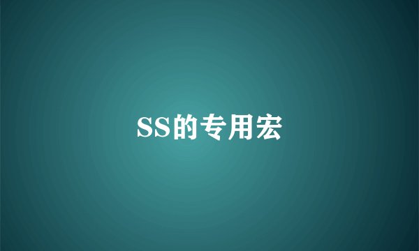 SS的专用宏