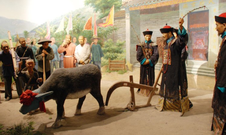 清正五品什么官职