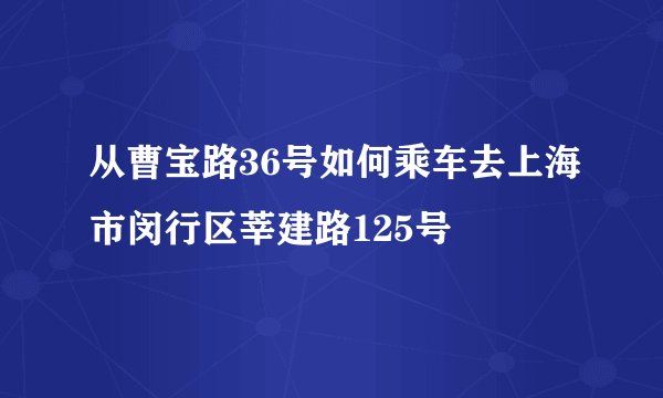从曹宝路36号如何乘车去上海市闵行区莘建路125号