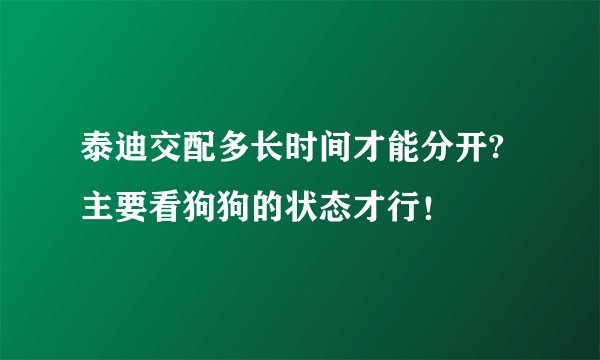 泰迪交配多长时间才能分开?主要看狗狗的状态才行！