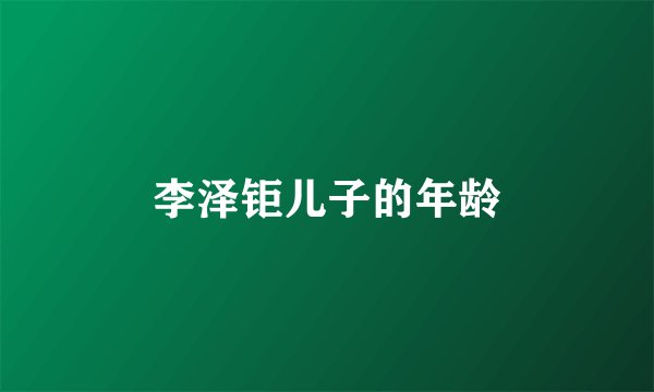 李泽钜儿子的年龄