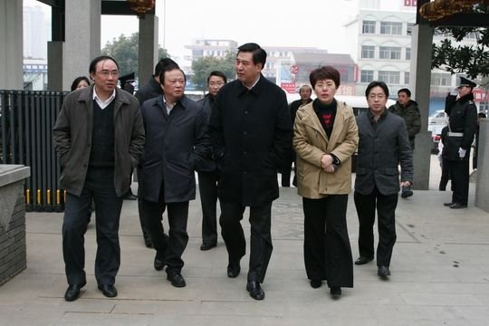 申维辰的人物经历