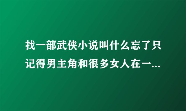 找一部武侠小说叫什么忘了只记得男主角和很多女人在一起而且那些女人都很厉害其中1叫小星是其它女人的大姐