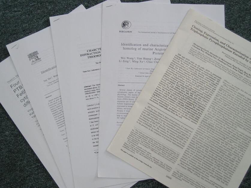 毕业论文设计的基本要求