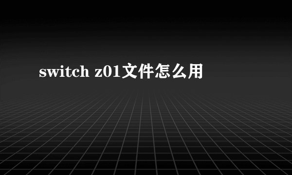 switch z01文件怎么用