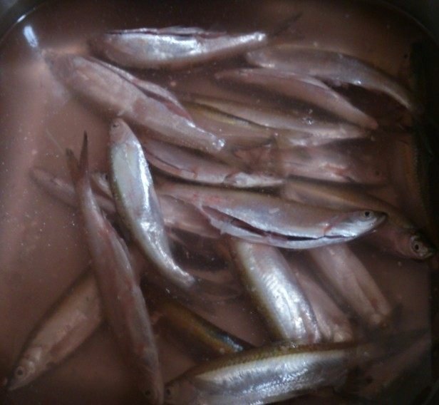 蓝鱼怎么做好吃